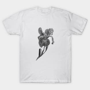 Iris T-Shirt